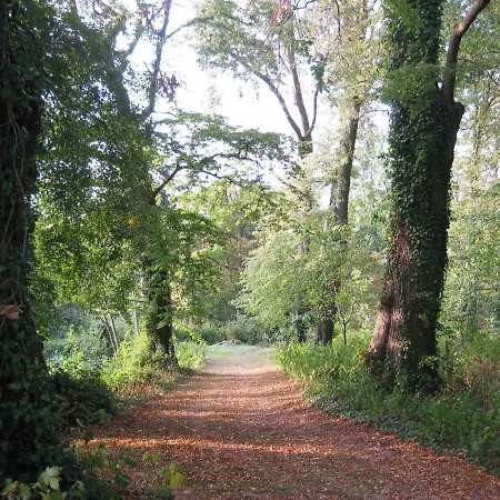 In Satow Mit Garten 公寓 Gerdshagen