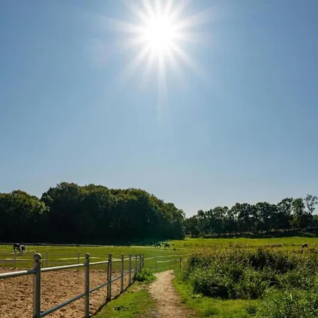 In Satow Mit Garten *