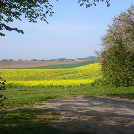 In Satow Mit Garten 公寓