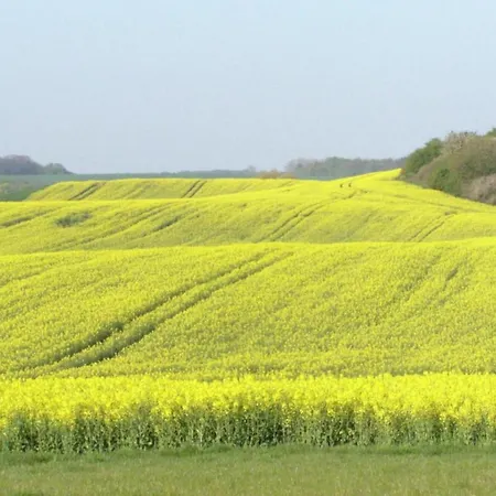 In Satow Mit Garten Gerdshagen