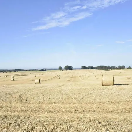 公寓 In Satow Mit Garten Gerdshagen