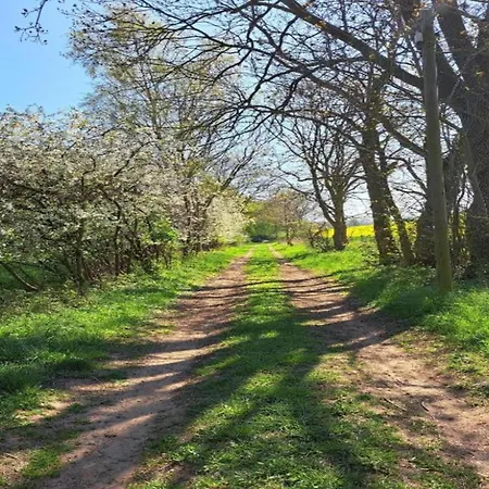 In Satow Mit Garten *