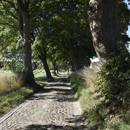 In Satow Mit Garten * Gerdshagen