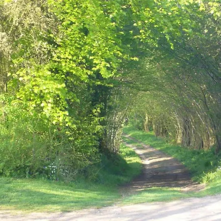 In Satow Mit Garten 公寓 Gerdshagen