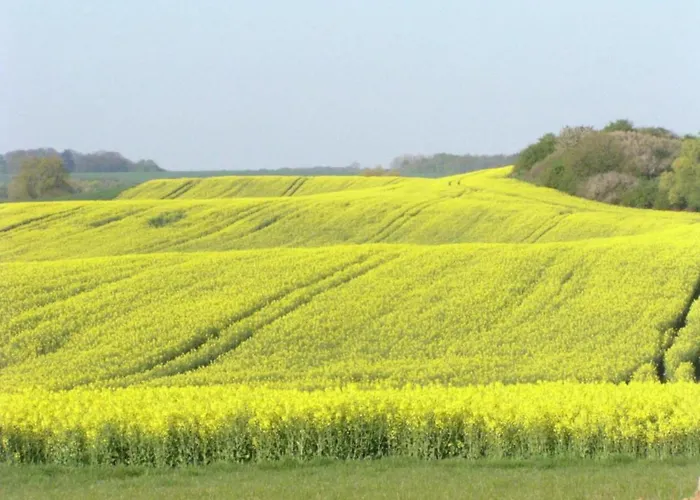 In Satow Mit Garten Gerdshagen